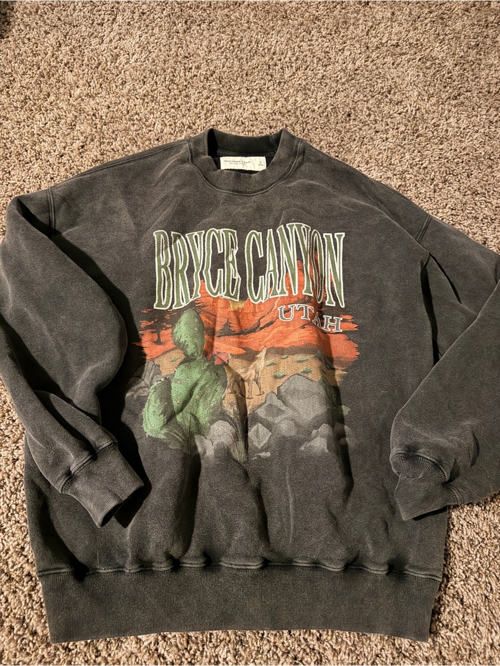Bryce Canyon Utah Graphic Crewneck Sweater - Charcoal